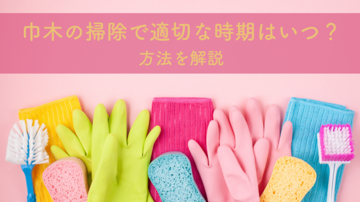 巾木の掃除で適切な時期はいつ？方法を解説